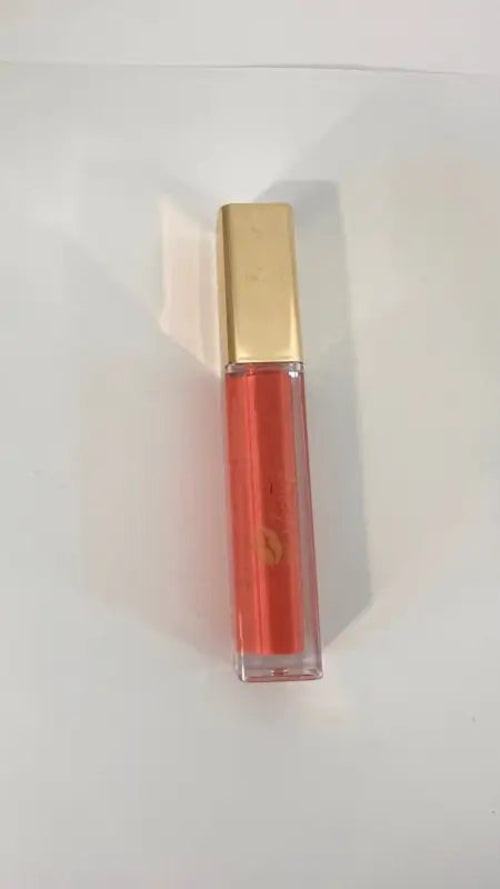 Lip Gloss Gold Label |45 Shades of Long-Lasting Shine