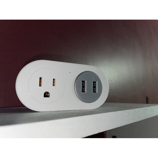 INSTACHEW, Pureconnect+ Smart Plug with USB, App Enabled, Google