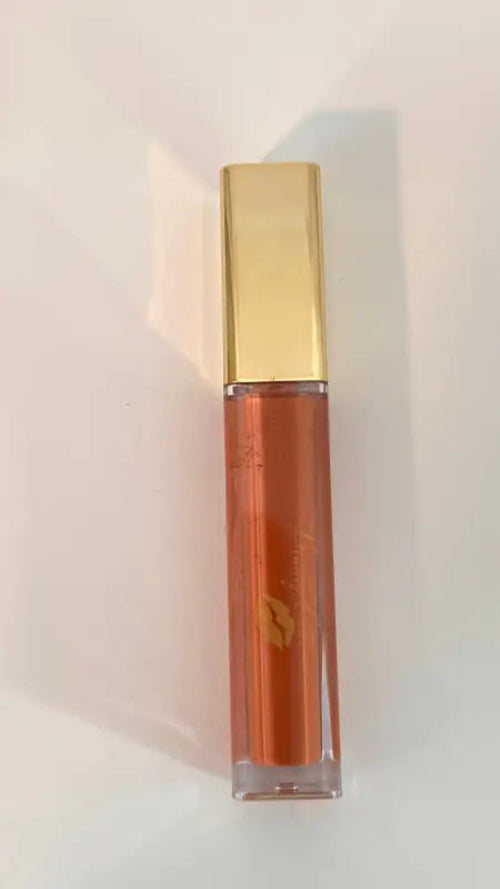 Lip Gloss Gold Label |45 Shades of Long-Lasting Shine
