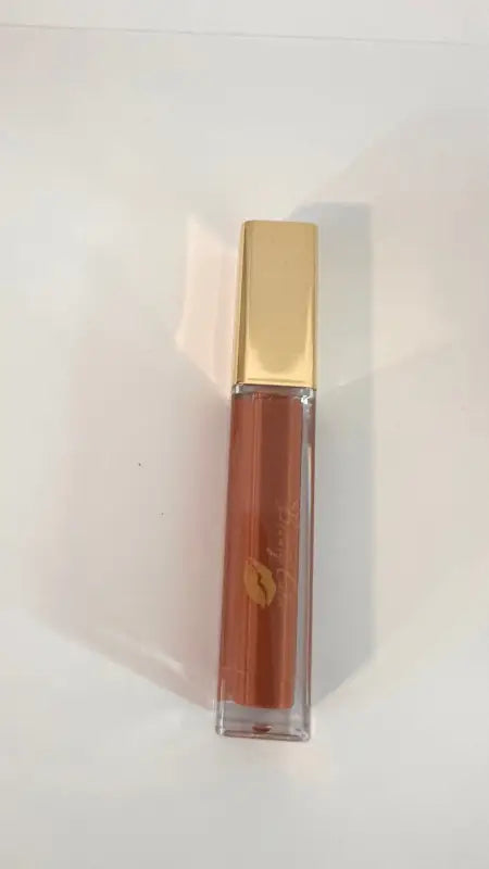 Lip Gloss Gold Label |45 Shades of Long-Lasting Shine