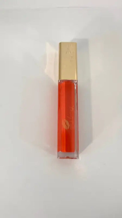 Lip Gloss Gold Label |45 Shades of Long-Lasting Shine